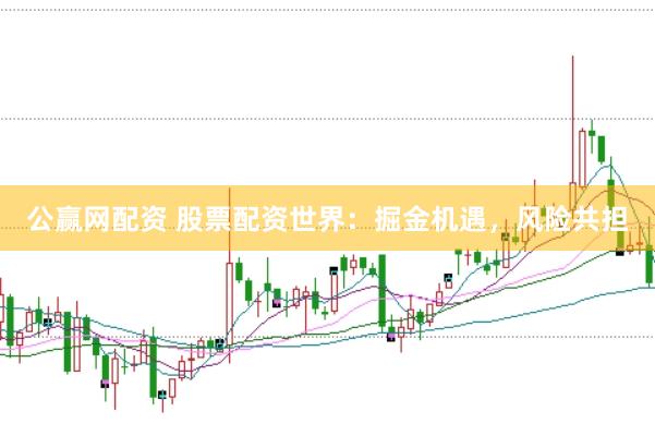 公赢网配资 股票配资世界:掘金机遇,风险共担